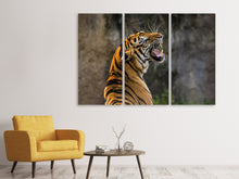 Laden Sie das Bild in den Galerie-Viewer, Leinwandbild 3-teilig Achtung Tiger