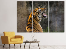 Laden Sie das Bild in den Galerie-Viewer, Leinwandbild 3-teilig Achtung Tiger