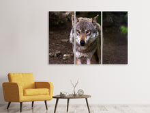 Laden Sie das Bild in den Galerie-Viewer, Leinwandbild 3-teilig Der böse Wolf