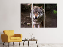 Laden Sie das Bild in den Galerie-Viewer, Leinwandbild 3-teilig Der böse Wolf