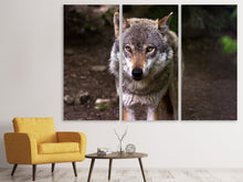 Laden Sie das Bild in den Galerie-Viewer, Leinwandbild 3-teilig Der böse Wolf