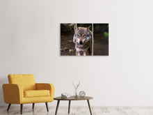 Laden Sie das Bild in den Galerie-Viewer, Leinwandbild 3-teilig Der böse Wolf