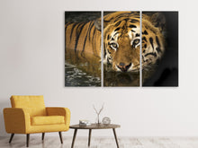 Laden Sie das Bild in den Galerie-Viewer, Leinwandbild 3-teilig Tiger im Wasser