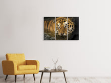 Laden Sie das Bild in den Galerie-Viewer, Leinwandbild 3-teilig Tiger im Wasser
