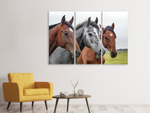 Laden Sie das Bild in den Galerie-Viewer, Leinwandbild 3-teilig Das Pferde Trio