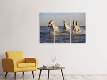 Laden Sie das Bild in den Galerie-Viewer, Leinwandbild 3-teilig Pferde im Meer