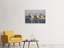 Laden Sie das Bild in den Galerie-Viewer, Leinwandbild 3-teilig Pferde im Meer