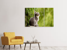 Laden Sie das Bild in den Galerie-Viewer, Leinwandbild 3-teilig Wildkatze
