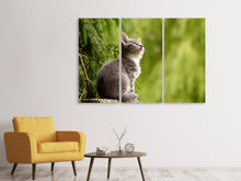 Laden Sie das Bild in den Galerie-Viewer, Leinwandbild 3-teilig Wildkatze