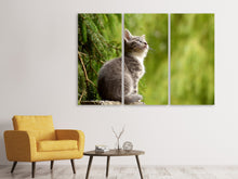 Laden Sie das Bild in den Galerie-Viewer, Leinwandbild 3-teilig Wildkatze
