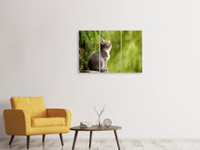 Laden Sie das Bild in den Galerie-Viewer, Leinwandbild 3-teilig Wildkatze