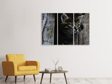 Laden Sie das Bild in den Galerie-Viewer, Leinwandbild 3-teilig Katzen Kind