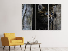 Laden Sie das Bild in den Galerie-Viewer, Leinwandbild 3-teilig Katzen Kind