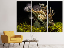 Laden Sie das Bild in den Galerie-Viewer, Leinwandbild 3-teilig Lion Fisch