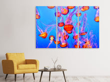 Laden Sie das Bild in den Galerie-Viewer, Leinwandbild 3-teilig Bunte Quallen