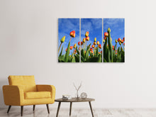 Laden Sie das Bild in den Galerie-Viewer, Leinwandbild 3-teilig Tulpen ragen zum Himmel