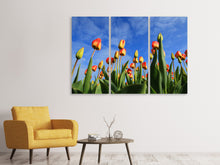 Laden Sie das Bild in den Galerie-Viewer, Leinwandbild 3-teilig Tulpen ragen zum Himmel