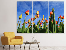 Laden Sie das Bild in den Galerie-Viewer, Leinwandbild 3-teilig Tulpen ragen zum Himmel