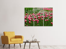 Laden Sie das Bild in den Galerie-Viewer, Leinwandbild 3-teilig Wildes Tulpenfeld