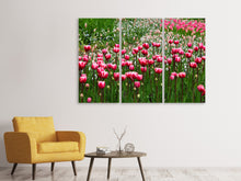 Laden Sie das Bild in den Galerie-Viewer, Leinwandbild 3-teilig Wildes Tulpenfeld