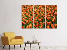 Laden Sie das Bild in den Galerie-Viewer, Leinwandbild 3-teilig Tulpenfeld in orange