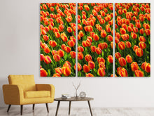Laden Sie das Bild in den Galerie-Viewer, Leinwandbild 3-teilig Tulpenfeld in orange