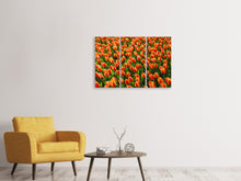 Laden Sie das Bild in den Galerie-Viewer, Leinwandbild 3-teilig Tulpenfeld in orange