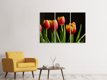 Laden Sie das Bild in den Galerie-Viewer, Leinwandbild 3-teilig Farbenfrohe Tulpen
