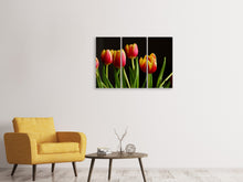 Laden Sie das Bild in den Galerie-Viewer, Leinwandbild 3-teilig Farbenfrohe Tulpen