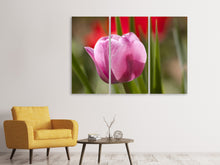 Laden Sie das Bild in den Galerie-Viewer, Leinwandbild 3-teilig Tulpe pretty in pink