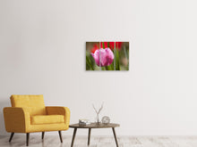 Laden Sie das Bild in den Galerie-Viewer, Leinwandbild 3-teilig Tulpe pretty in pink