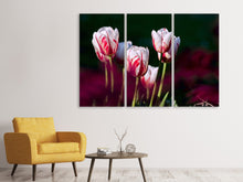 Laden Sie das Bild in den Galerie-Viewer, Leinwandbild 3-teilig Die Schönheit der Tulpen