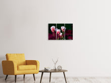 Laden Sie das Bild in den Galerie-Viewer, Leinwandbild 3-teilig Die Schönheit der Tulpen