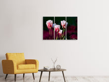 Laden Sie das Bild in den Galerie-Viewer, Leinwandbild 3-teilig Die Schönheit der Tulpen