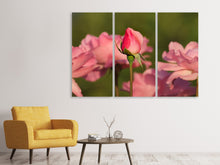 Laden Sie das Bild in den Galerie-Viewer, Leinwandbild 3-teilig Die Rosenknospe