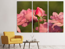 Laden Sie das Bild in den Galerie-Viewer, Leinwandbild 3-teilig Die Rosenknospe