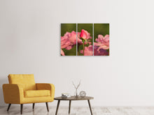 Laden Sie das Bild in den Galerie-Viewer, Leinwandbild 3-teilig Die Rosenknospe