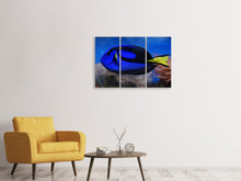 Laden Sie das Bild in den Galerie-Viewer, Leinwandbild 3-teilig Der Paletten-Doktorfisch