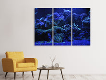 Laden Sie das Bild in den Galerie-Viewer, Leinwandbild 3-teilig Korallenriff in blau