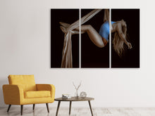 Laden Sie das Bild in den Galerie-Viewer, Leinwandbild 3-teilig Die Artistin