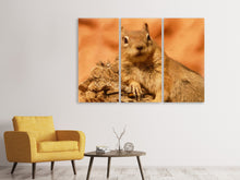 Laden Sie das Bild in den Galerie-Viewer, Leinwandbild 3-teilig Süsses Eichhörnchen