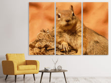 Laden Sie das Bild in den Galerie-Viewer, Leinwandbild 3-teilig Süsses Eichhörnchen