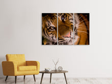 Laden Sie das Bild in den Galerie-Viewer, Leinwandbild 3-teilig Tiger Gesicht