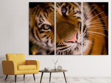 Laden Sie das Bild in den Galerie-Viewer, Leinwandbild 3-teilig Tiger Gesicht