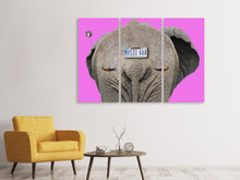Laden Sie das Bild in den Galerie-Viewer, Leinwandbild 3-teilig Tierische Fortbewegung
