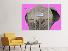 Laden Sie das Bild in den Galerie-Viewer, Leinwandbild 3-teilig Tierische Fortbewegung