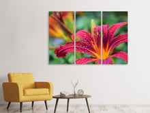 Laden Sie das Bild in den Galerie-Viewer, Leinwandbild 3-teilig Lilien Blüte in pink XL