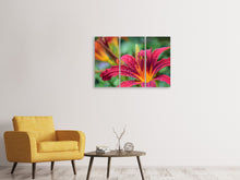 Laden Sie das Bild in den Galerie-Viewer, Leinwandbild 3-teilig Lilien Blüte in pink XL