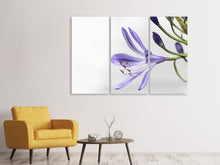 Laden Sie das Bild in den Galerie-Viewer, Leinwandbild 3-teilig Lilien Blüte in lila