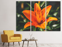 Laden Sie das Bild in den Galerie-Viewer, Leinwandbild 3-teilig Lilien Blüte in orange XL